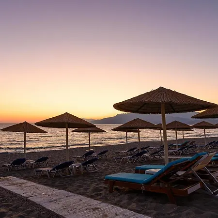 Paradise